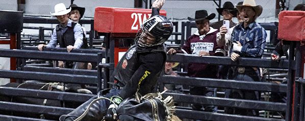 Bulls put on show in Spiritwood